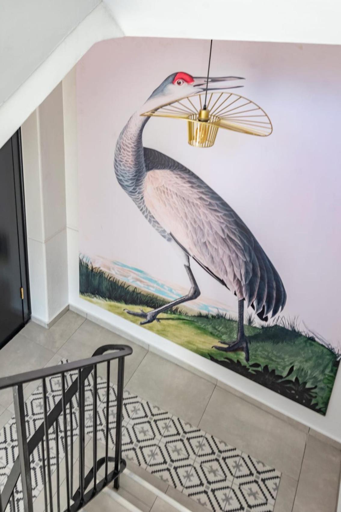 Flamingo On Hope