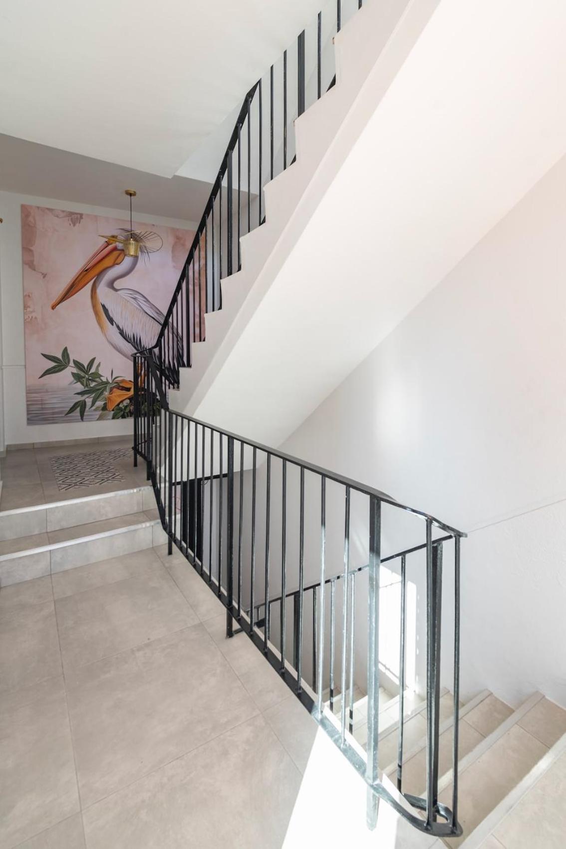 Flamingo On Hope Apartment