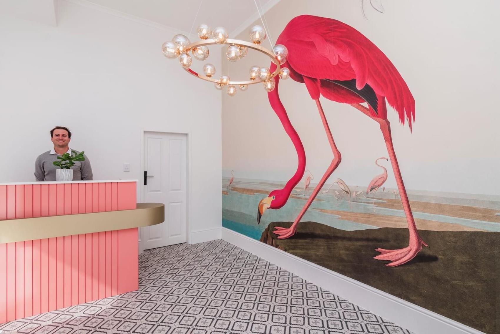 Flamingo On Hope * Cape Town